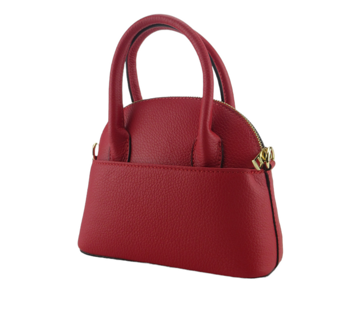 Small dollar leather handbag 