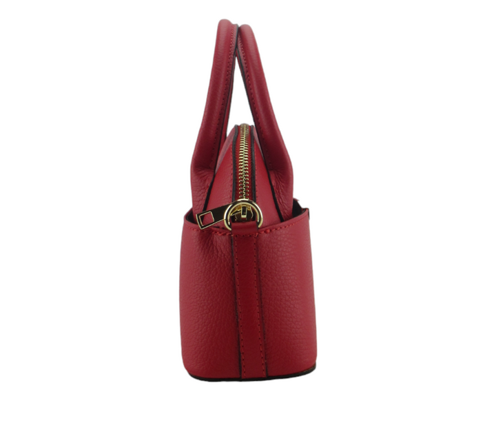 Small dollar leather handbag 