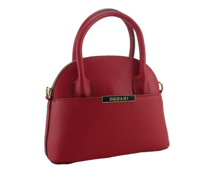 Small dollar leather handbag 