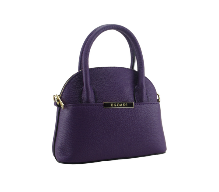 Small dollar leather handbag 